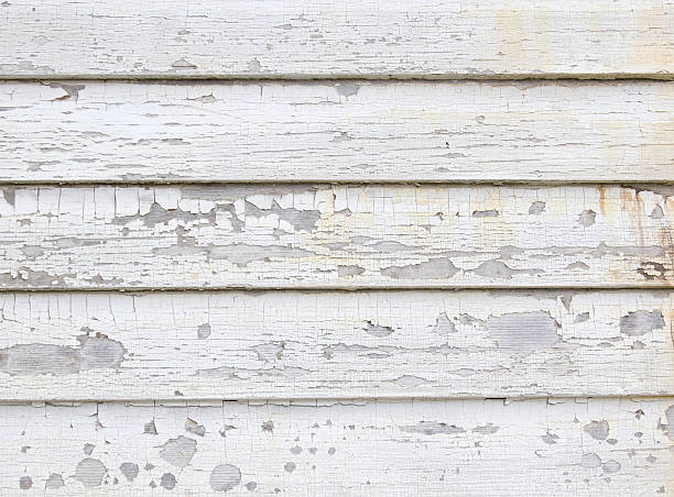 Best Stucco Siding  in Fox Island, WA